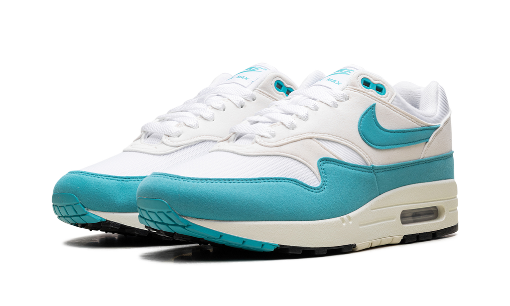 Nike Air Max 1 WMNS Blue DZ2628 107