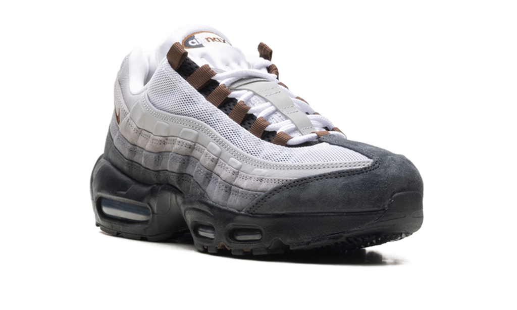 Nike Air Max 95 SB Cacao Wow HF7545 002