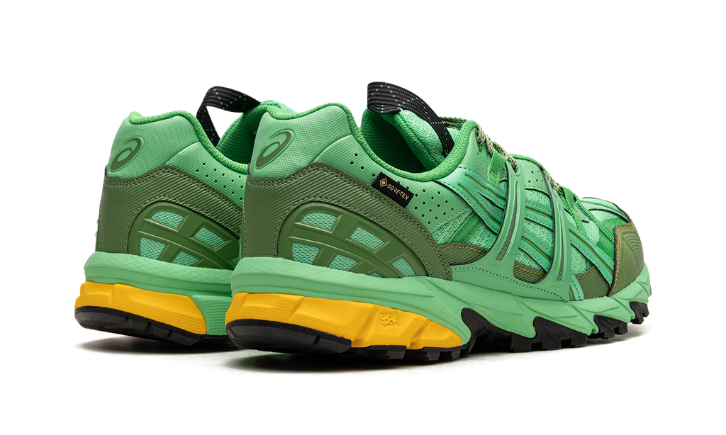 Asics HS4-S Gel-Sonoma 15-50 Gore-TEX Spring Bouquet 1201A440 300