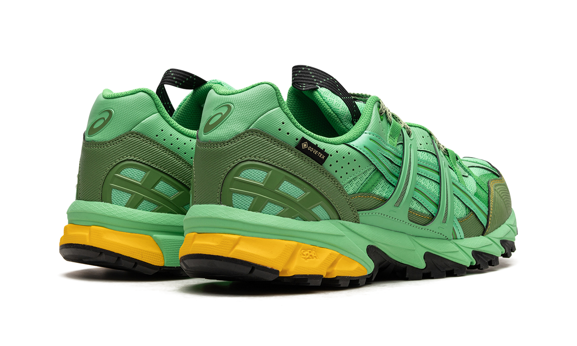 Asics HS4-S Gel-Sonoma 15-50 Gore-TEX Spring Bouquet 1201A440 300