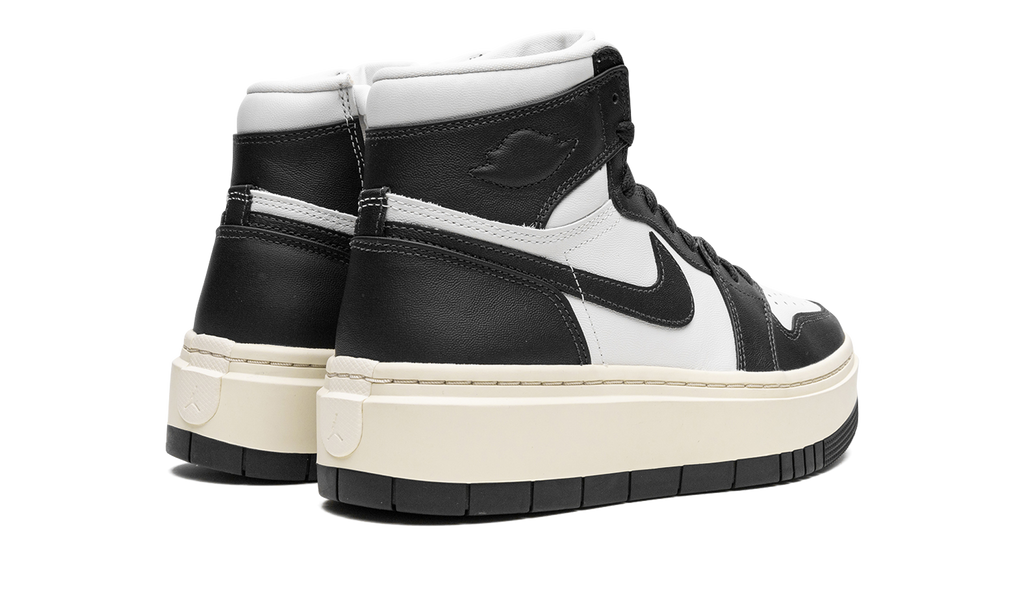 AIR JORDAN 1 ELEVATE HIGH WMNS Dark Ash DN3253 100