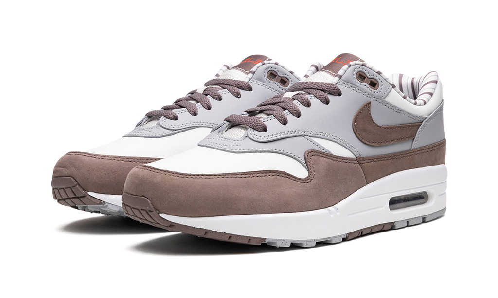 Nike Air Max 1 Shima Shima FB8916 100