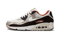Nike AIR MAX 90 SE Social FC DX3576 001