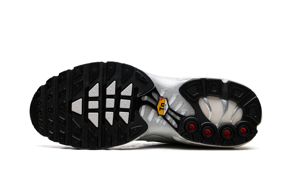 Nike Air Max Plus WMNS Light Silver FV8480 002