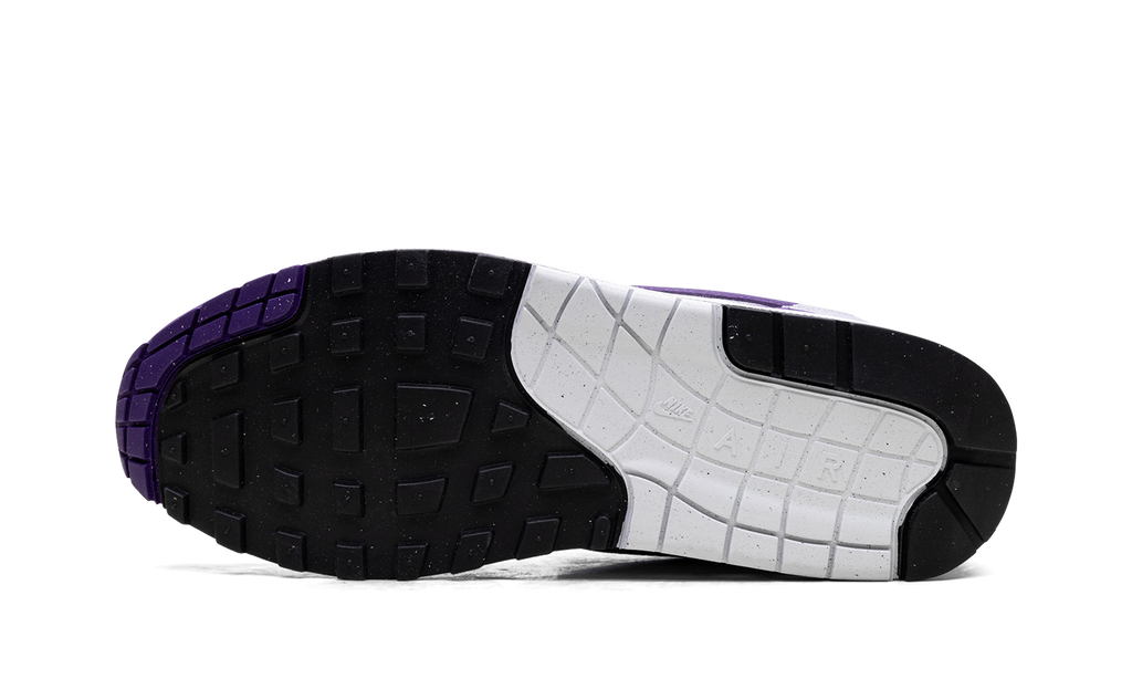 Nike Air Max 1 SC Field Purple DZ4549 101