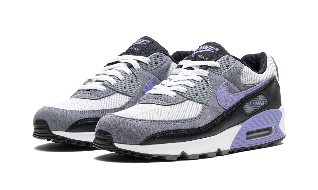 Nike Air Max 90 Light Thistle DM0029 014