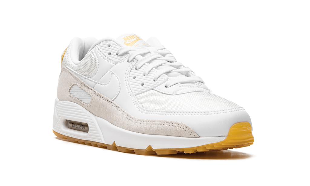 Nike Air Max 90 Frank Rudy DV1734 100