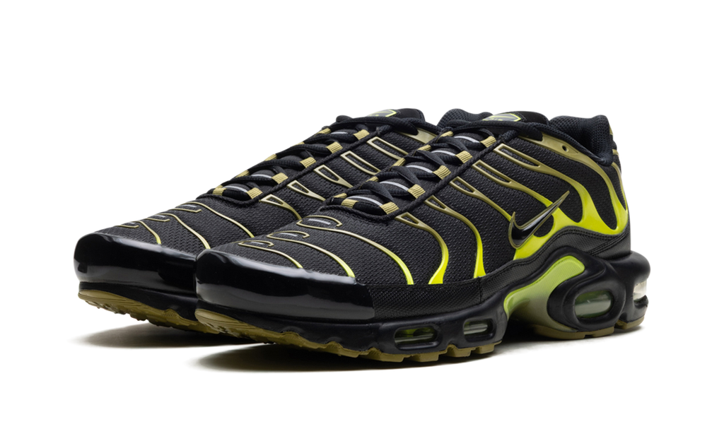 Nike Air Max Plus Green DM0032 010