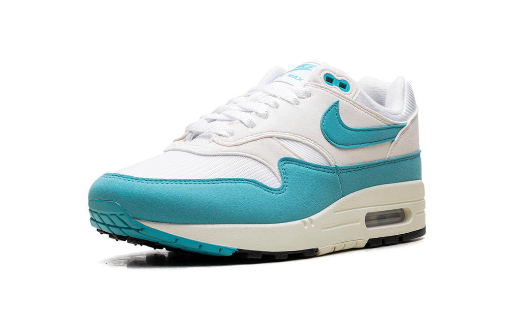Nike Air Max 1 WMNS Blue DZ2628 107