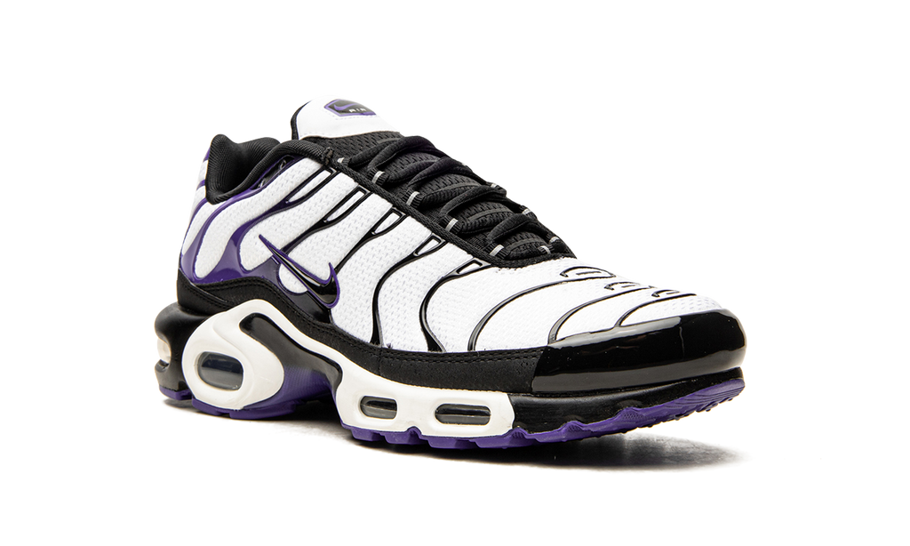 Nike Air Max Plus Persian Violet DB0682 100