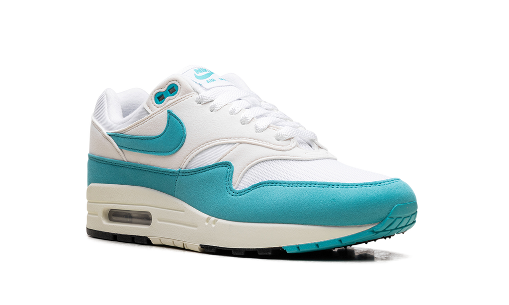 Nike Air Max 1 WMNS Blue DZ2628 107