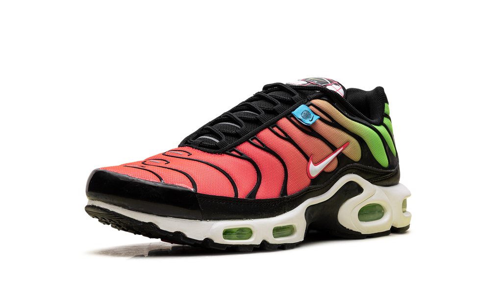 Nike Air Max Plus WW Worldwide Pack Crimson Green CK7291 001