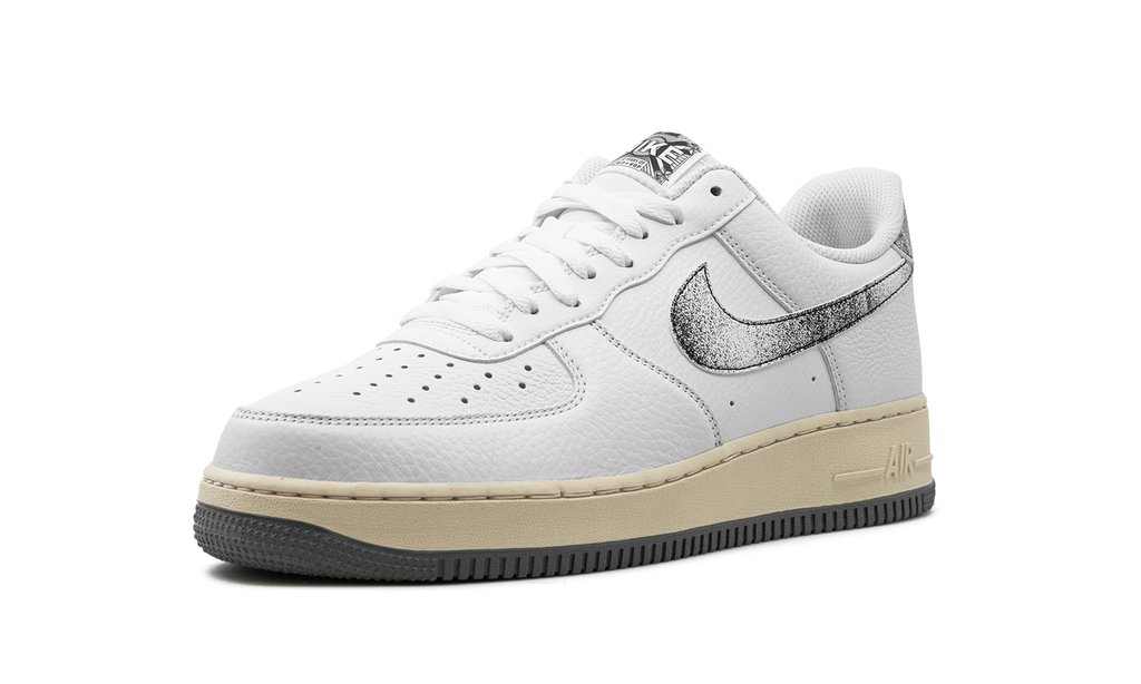 Nike Air Force 1 Low Classics DV7183 100