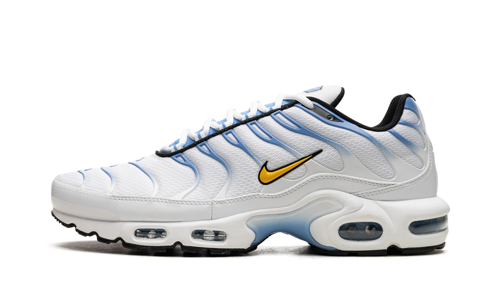 Nike Air Max Plus White University Blue DM0032 101