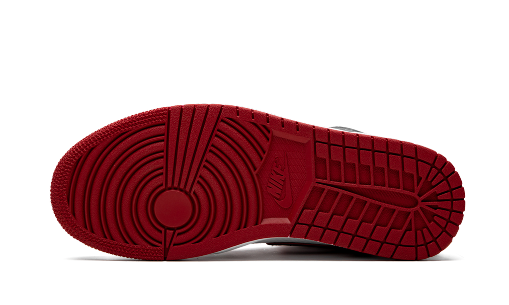 Air Jordan 1 High OG Bloodline / Meant To Fly 555088 062