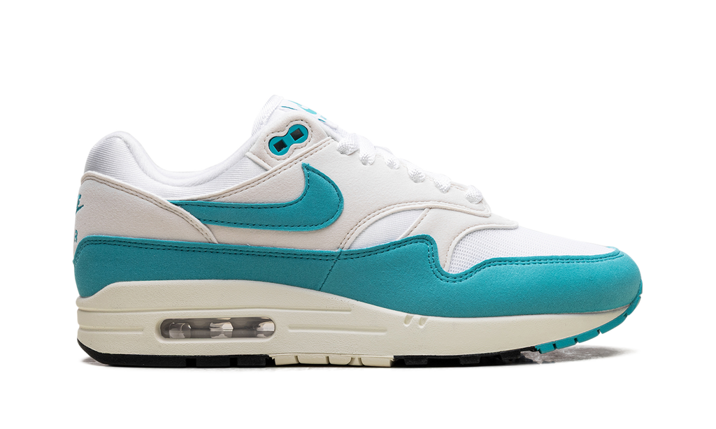 Nike Air Max 1 WMNS Blue DZ2628 107