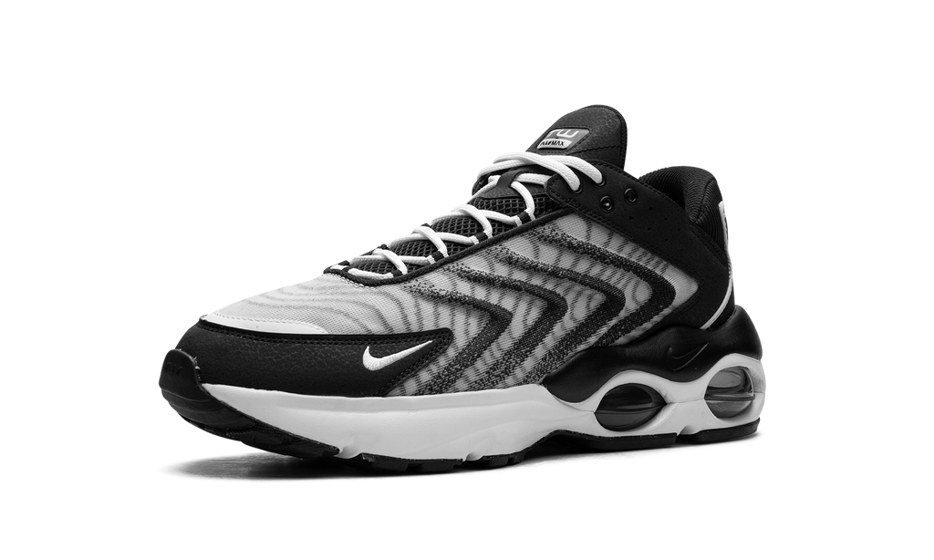 Nike Air Max TW Black White DQ3984 001