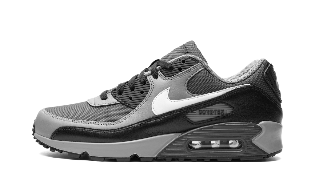 Nike Air Max 90 GORE-TEX Dark Smoke Grey FD5810 002