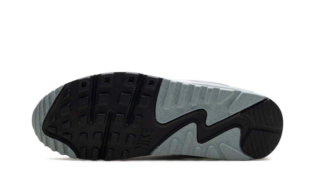 Nike Air Max 90 WMNS Silver FN6948-100