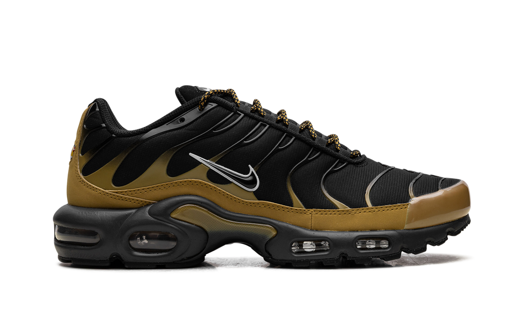 Nike AIR MAX PLUS Black FB9722-700