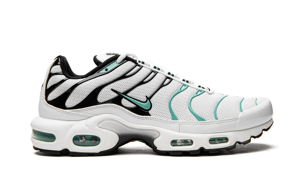Nike Air Max Plus Atmos 604133 148