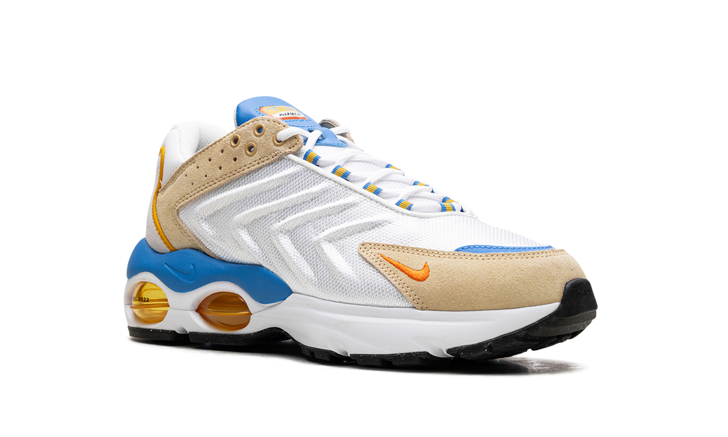 Nike Air Max TW Frank Rudy DV1232 100