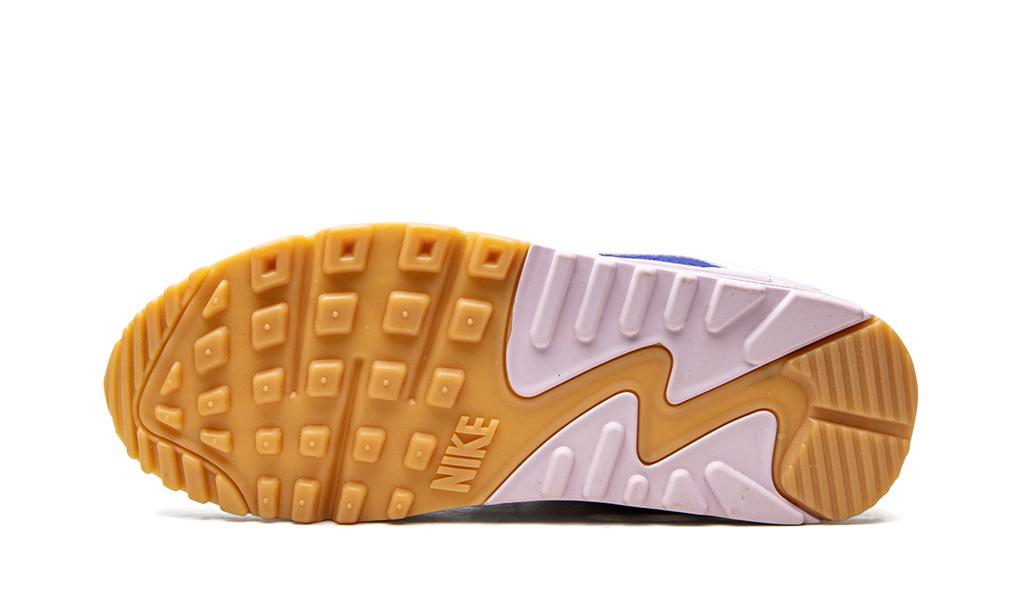 Nike AIR MAX 90 WMNS DX3316 100