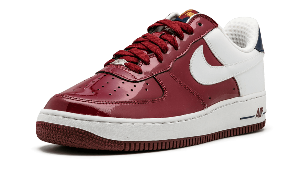 Nike Air Force 1 Premium LeBron 309096 611