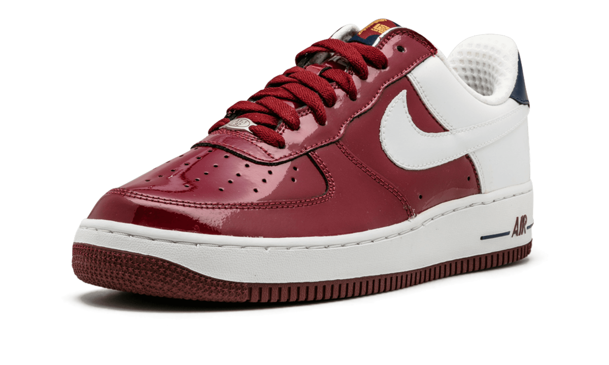 Nike Air Force 1 Premium LeBron 309096 611