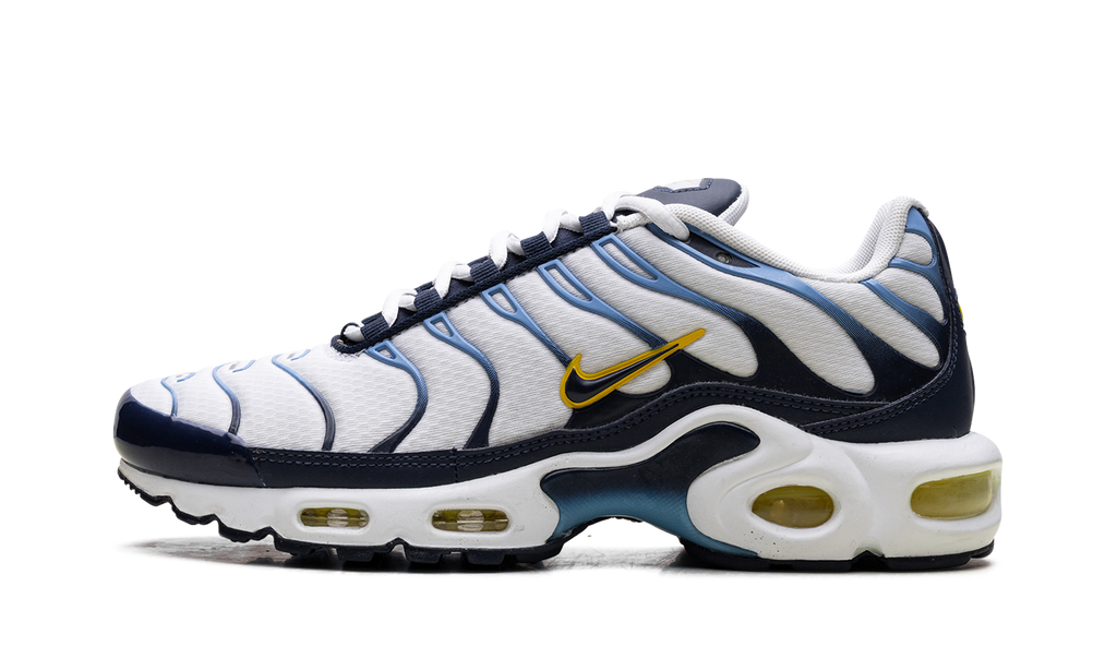 Nike Air Max Plus CT1094 100