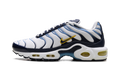 Nike Air Max Plus CT1094 100