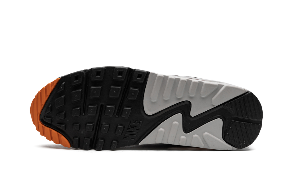 Nike Air Max 90 Starfish DM0029 101
