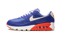 Nike Air Max 90 DM8316 400
