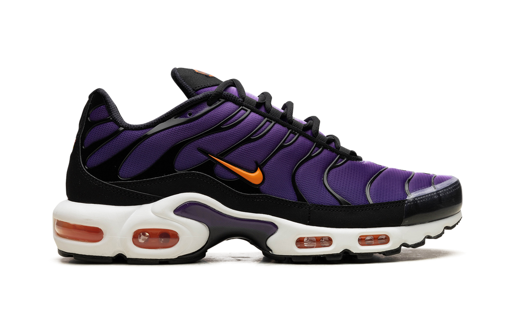 Nike Air Max Plus Voltage Purple DX0755 500