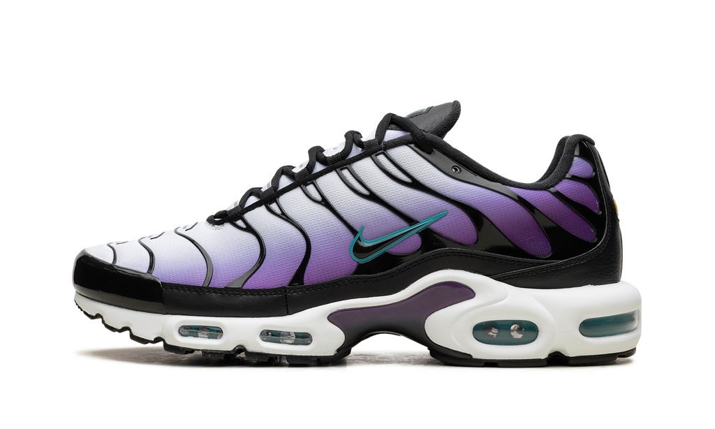 Nike Air Max Plus Reverse Grape FQ2415 500