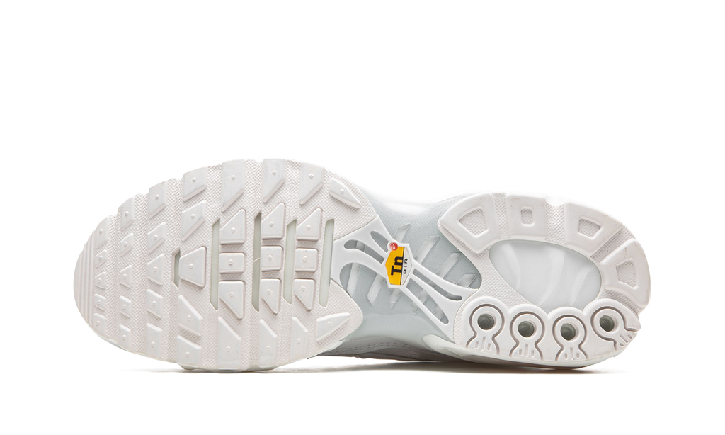 Nike AIR MAX PLUS WMNS Pure Platinum DM2362 100