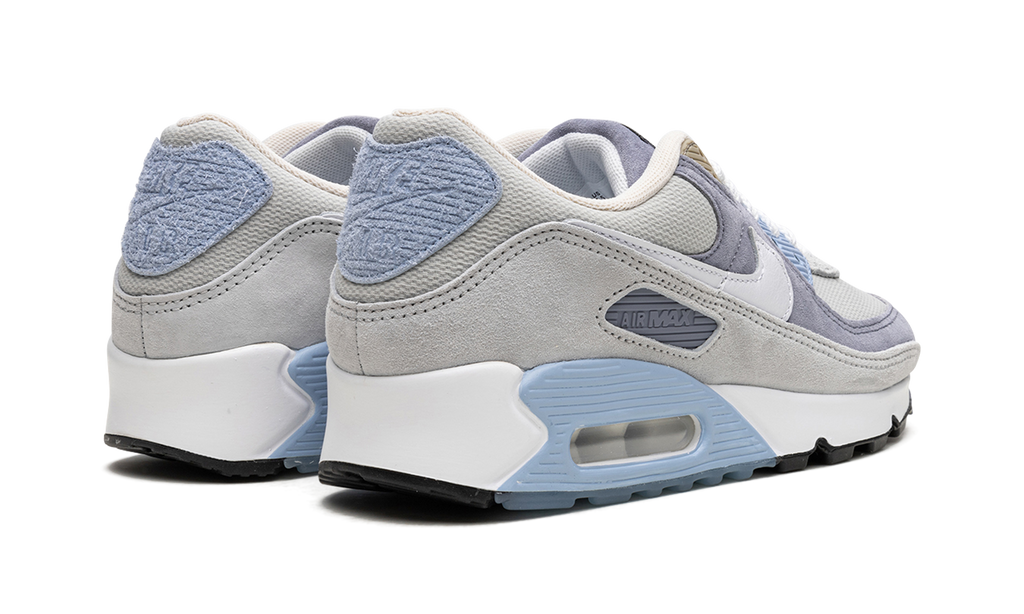 Nike Air Max 90 Ashen Slate DM0035 400