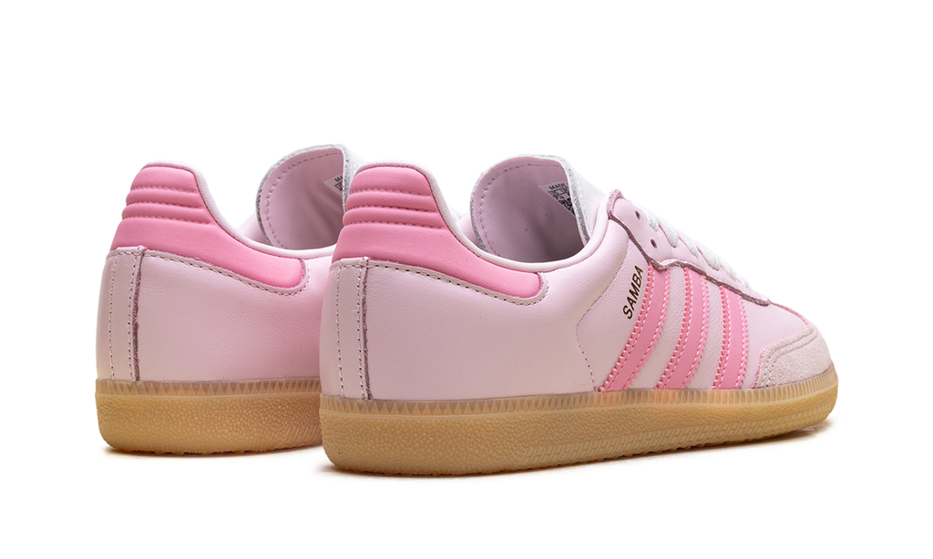 Adidas Samba OG WMNS Neapolitan Pack - Clear Pink JS4091