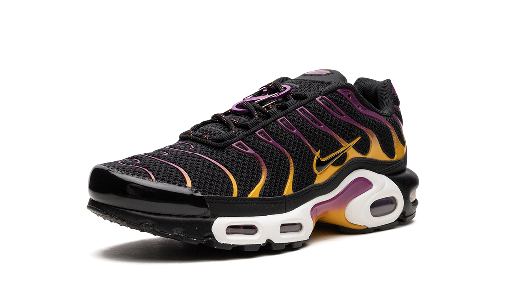 Nike Air Max Plus DX2663 001