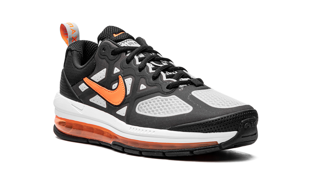 Nike Air Max Genome