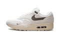 Nike Air Max 1 Sail Ironstone DZ4494 100