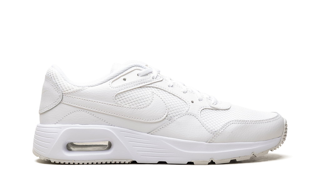Nike Air MAX SC WMNS Photon Dust CW4554 101
