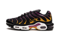 Nike Air Max Plus DX2663 001
