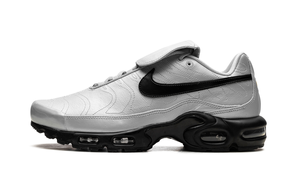 Nike Air Max Plus Wolf Grey HM6850 001