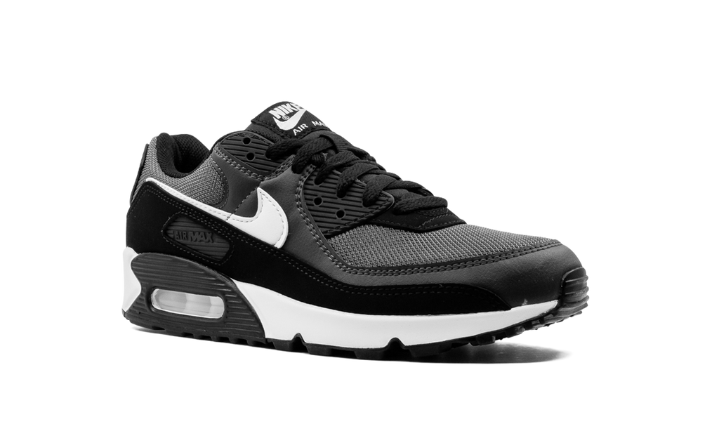 Nike Air Max 90 Iron Grey CN8490 002