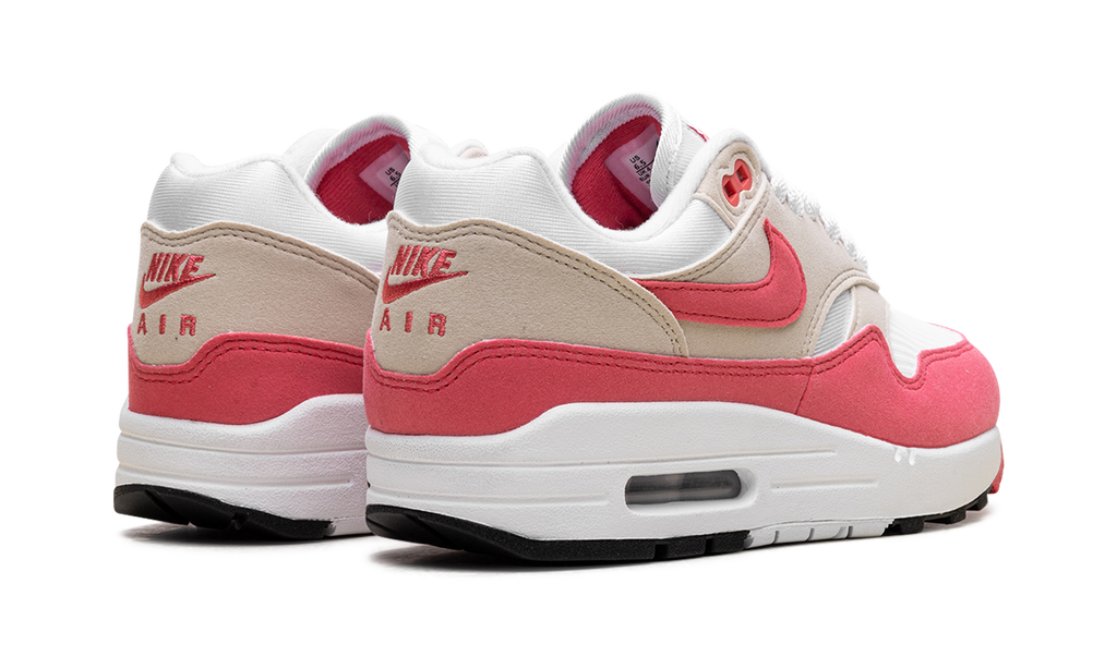 Nike Air Max 1 WMNS Aster Pink DZ2628 110