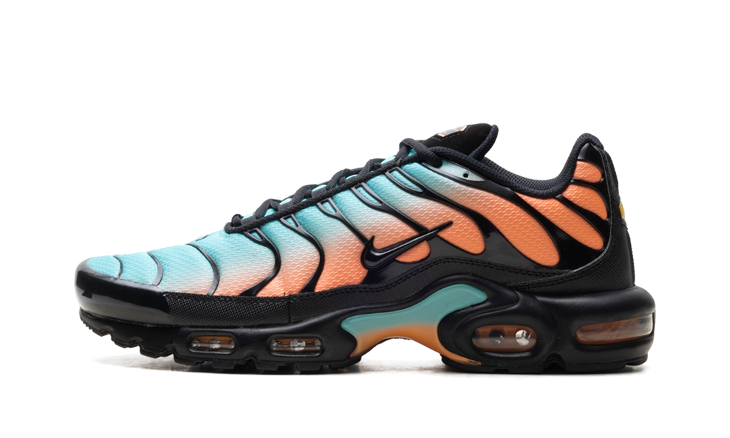 Nike Air Max Plus South Beach DM0032 022