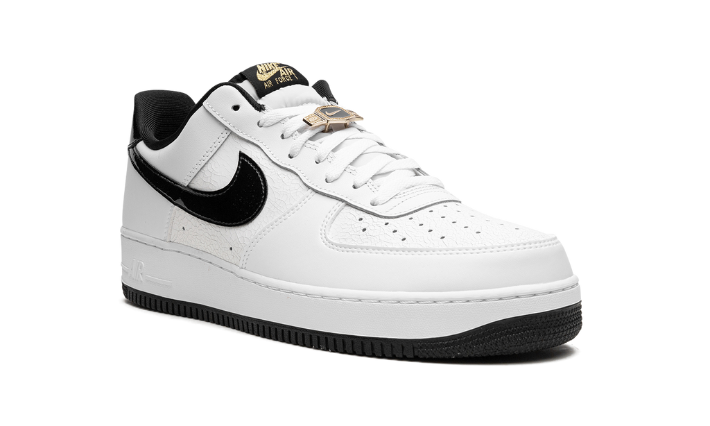 Nike Air Force 1 07 LV8 EMB World Champ DR9866 100