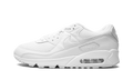 Nike Air Max 90 WMNS Triple White (2022) dh8010 100