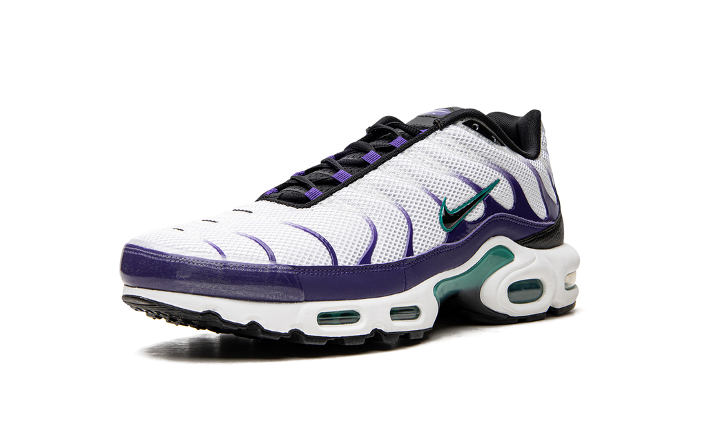 Nike Air Max Plus Grape DM0032 100